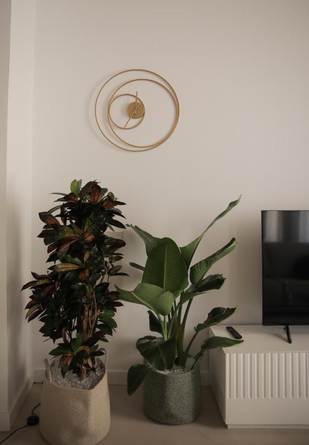 Apartament Hgb Cathedral Alicante Zewnętrze zdjęcie